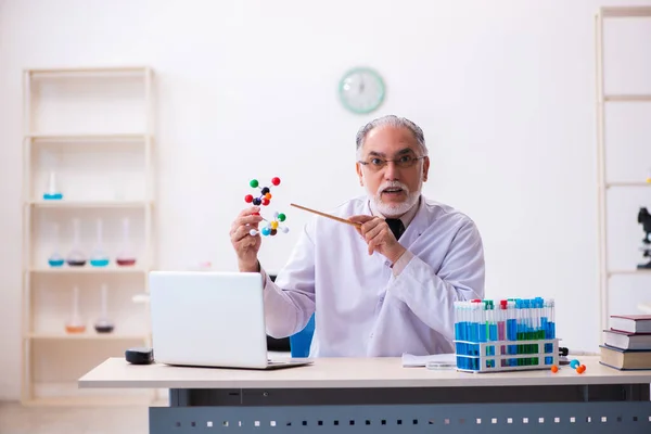 Старий вчений-чоловік вивчає молекулярну модель — стокове фото