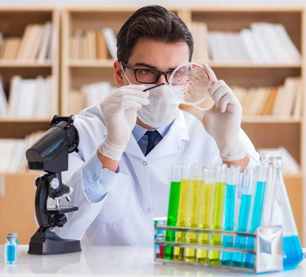 Médico que estuda bactérias virais no laboratório — Fotografia de Stock