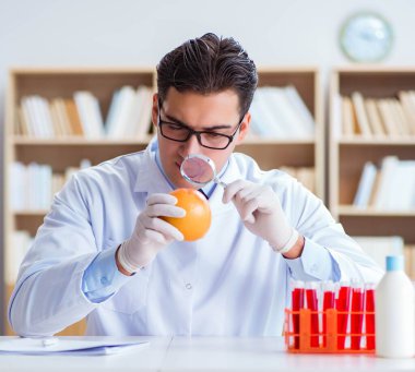 Bilim adamı organik meyve ve sebzeler üzerinde çalışıyor.