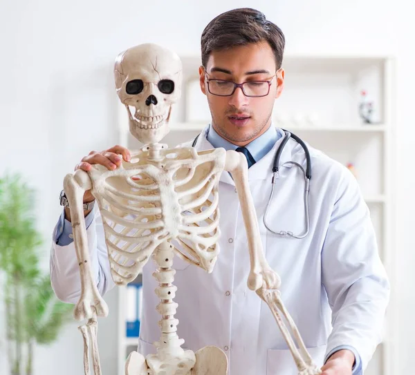 Yong male doctor with skeleton isolated on white — Stock Photo, Image