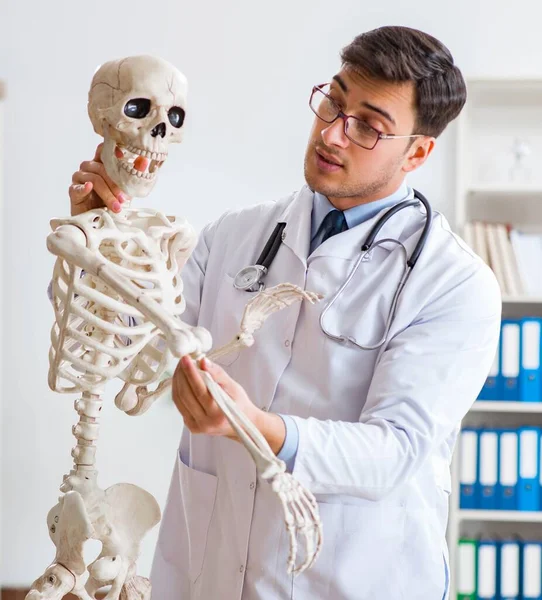 Yong médico masculino com esqueleto isolado em branco — Fotografia de Stock