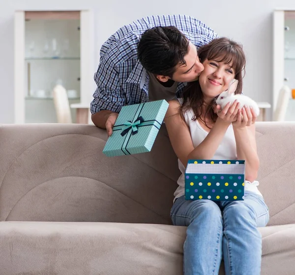 Young woman getting pet rabbit as birthday present — Stock Photo, Image