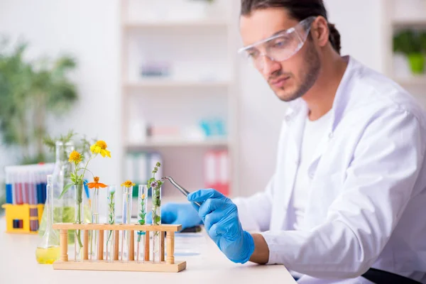 Jonge mannelijke chemicus werkzaam in het lab — Stockfoto