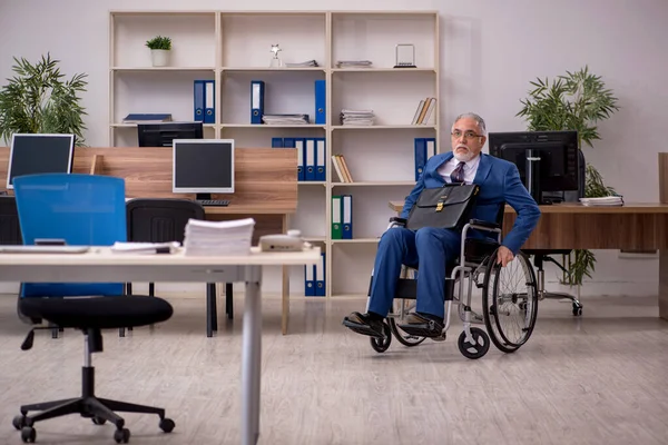 Alter Geschäftsmann im Rollstuhl bei der Arbeit im Büro — Stockfoto