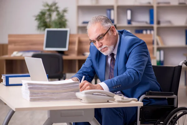 Oude zakenman in rolstoel aan het werk in het kantoor — Stockfoto