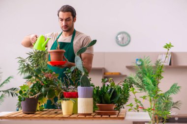 Evin içinde bitkileri olan genç bir erkek bahçıvan.