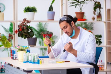 Laboratuvarda çalışan genç erkek kimyager parfümcüsü.