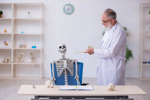 Yaşlı erkek anatomi öğretmeni insan iskeleti gösteriyor. — Stok fotoğraf