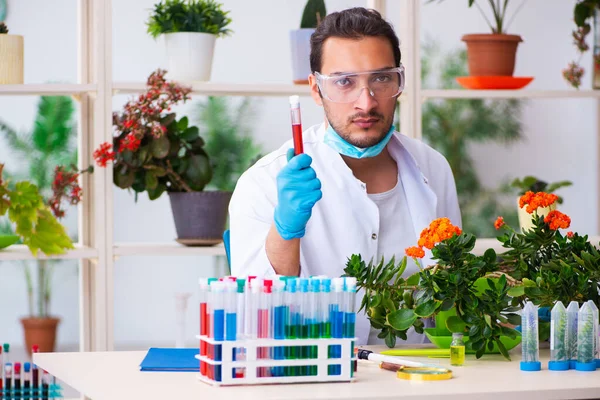 Joven perfumista químico masculino trabajando en el laboratorio — Foto de Stock