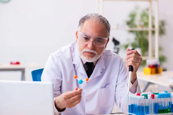 Oude mannelijke wetenschapper die moleculair model bestudeert — Stockfoto