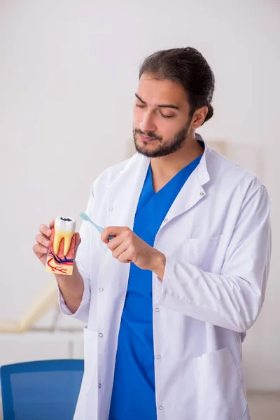 Młody dentysta wykładowca pracujący w klinice — Zdjęcie stockowe