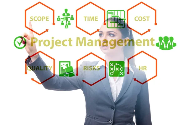 Concepto de gestión de proyectos con empresarios — Foto de Stock