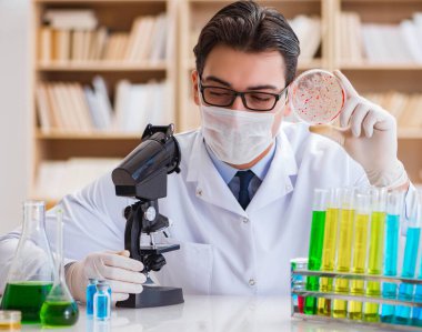 Doktor laboratuvarda virüs bakterileri üzerinde çalışıyor.