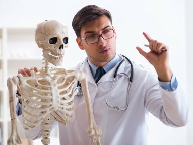 İskeleti beyaz olan Yong erkek doktoru.