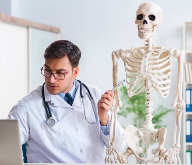 İskeleti beyaz olan Yong erkek doktoru.
