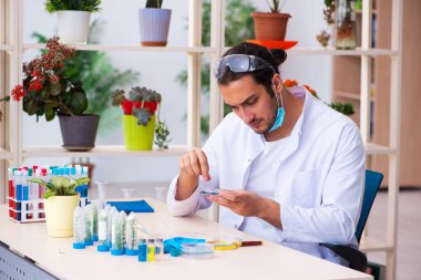 Laboratuvarda çalışan genç erkek kimyager parfümcüsü.