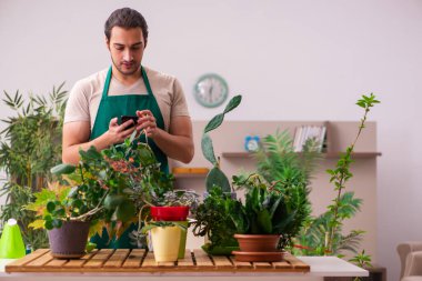 Evin içinde bitkileri olan genç bir erkek bahçıvan.