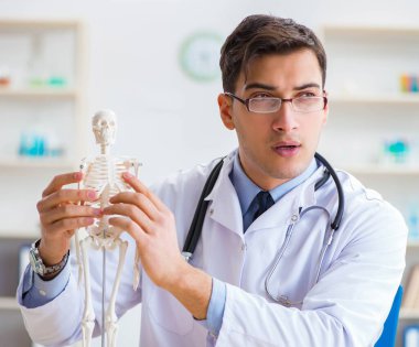 Doktor öğrenci iskeletin kemiklerini inceliyor.