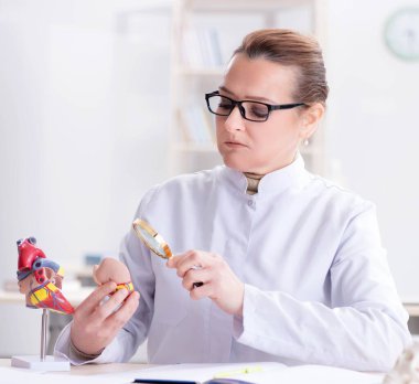 Kalbin çeşitli yerlerini açıklayan bir doktor.