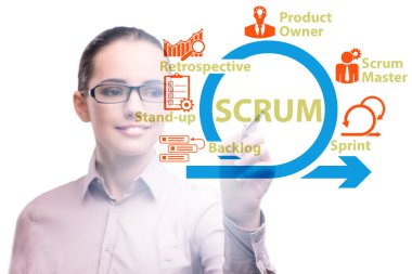 SCRUM Çevik Yöntem Konseptinde İşkadını