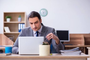 Ofiste çalışan genç bir erkek.