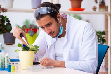 Laboratuvarda çalışan genç erkek kimyager parfümcüsü.