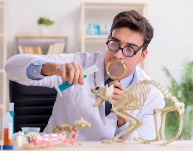 Laboratuvar kliniğinde kedi iskeleti olan komik bir bilim adamı.