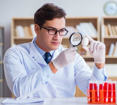 Bilim adamı organik meyve ve sebzeler üzerinde çalışıyor.