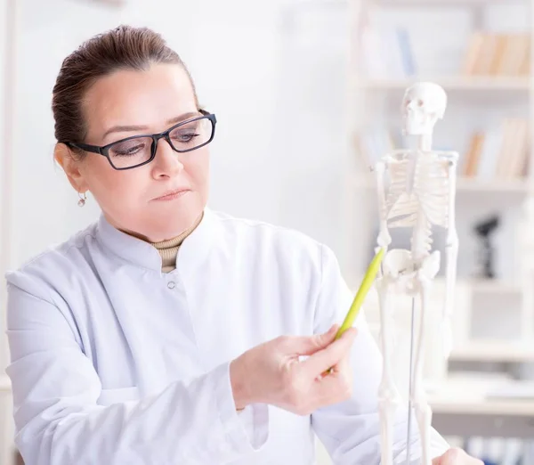 Woman doctor studying human skeleton