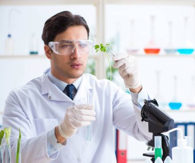 Bitkiler üzerinde çalışan erkek biyokimyacı.
