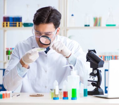 Bitkiler üzerinde çalışan erkek biyokimyacı.