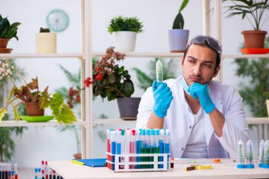 Laboratuvarda çalışan genç erkek kimyager parfümcüsü.