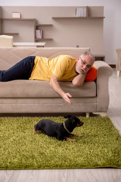 Evde köpeği olan yaşlı bir adam.