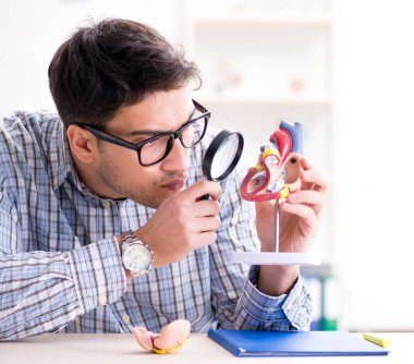 Tıp öğrencisi kalbi söküyor.