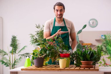 Evin içinde bitkileri olan genç bir erkek bahçıvan.