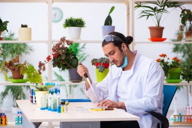 Laboratuvarda çalışan genç erkek kimyager parfümcüsü.