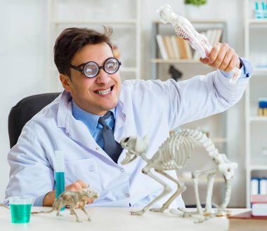 Laboratuvar kliniğinde kedi iskeleti olan komik bir bilim adamı.