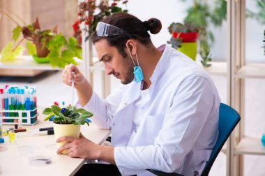 Laboratuvarda çalışan genç erkek kimyager parfümcüsü.