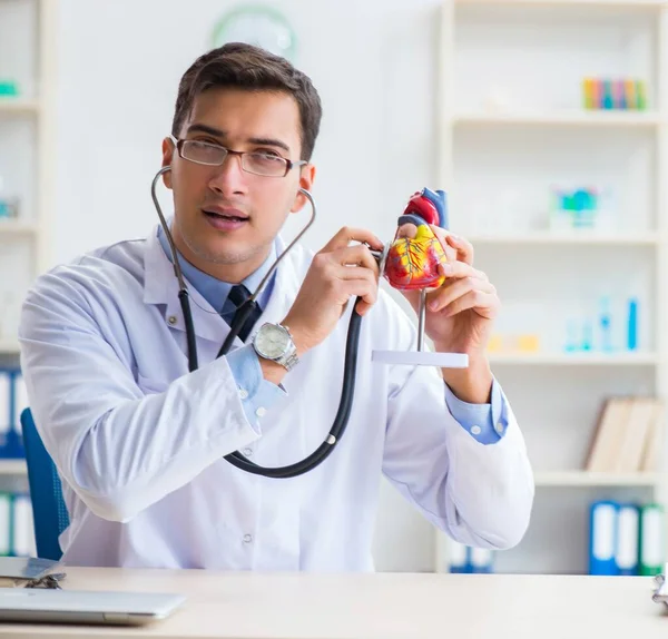 Doctor explaining the heart model