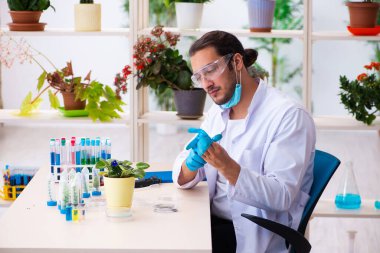 Laboratuvarda çalışan genç erkek kimyager parfümcüsü.