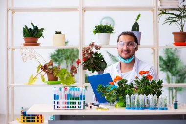 Laboratuvarda çalışan genç erkek kimyager parfümcüsü.