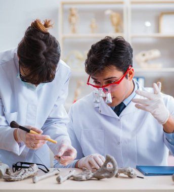 Profesör laboratuvarda insan iskeletini inceliyor.