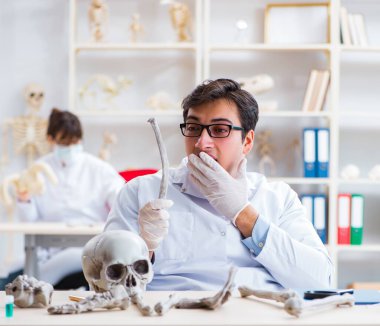 Profesör laboratuvarda insan iskeletini inceliyor.