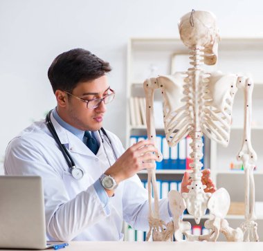 İskeleti beyaz olan Yong erkek doktoru.
