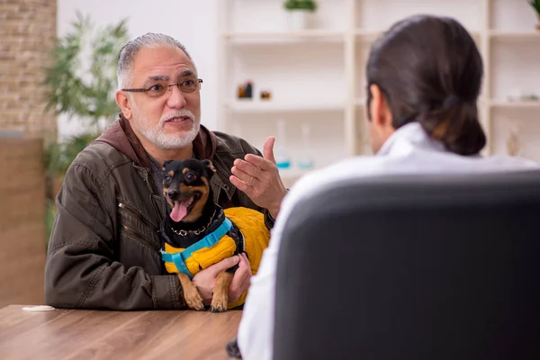 Joven médico veterinario perro examinador en la clínica —  Fotos de Stock