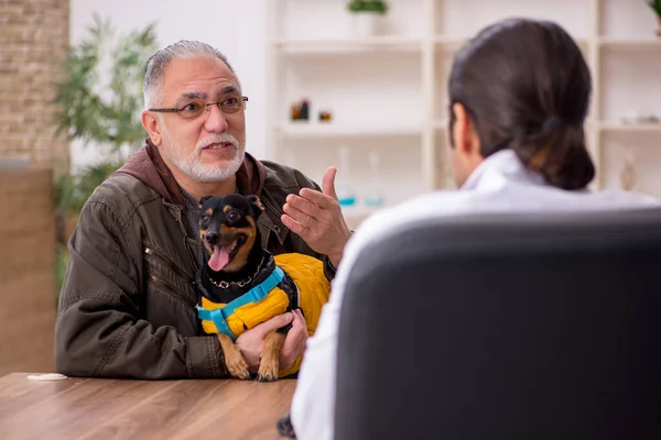 Mladý lékař veterinář vyšetřující psa na klinice — Stock fotografie