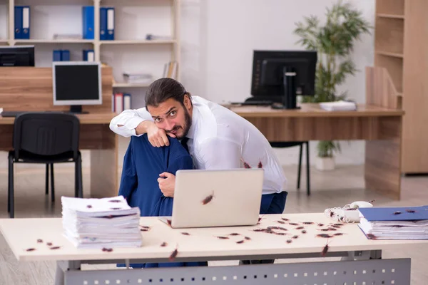 Joven empleado y demasiadas cucarachas en la oficina — Foto de Stock