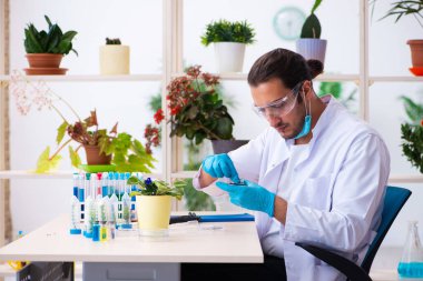 Laboratuvarda çalışan genç erkek kimyager parfümcüsü.