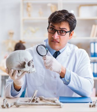 Profesör laboratuvarda insan iskeletini inceliyor.