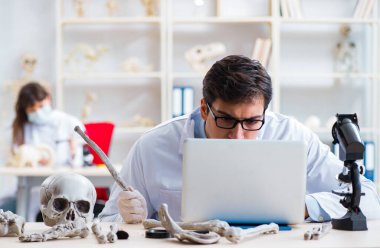 Profesör laboratuvarda insan iskeletini inceliyor.